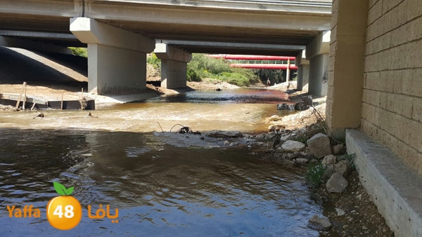 roben tabee3ar (6).JPG